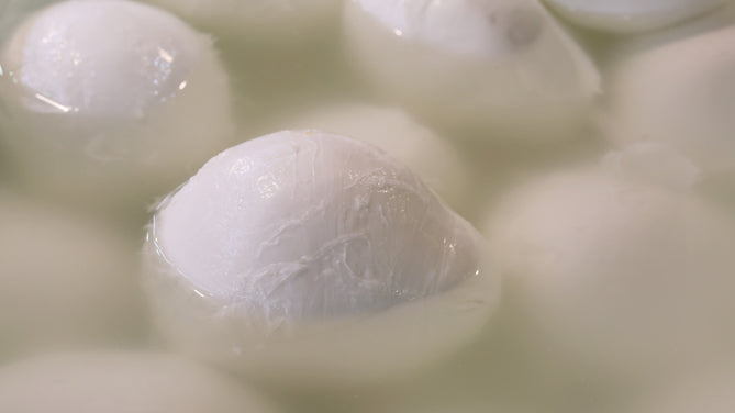 Come conservare la mozzarella di bufala campana