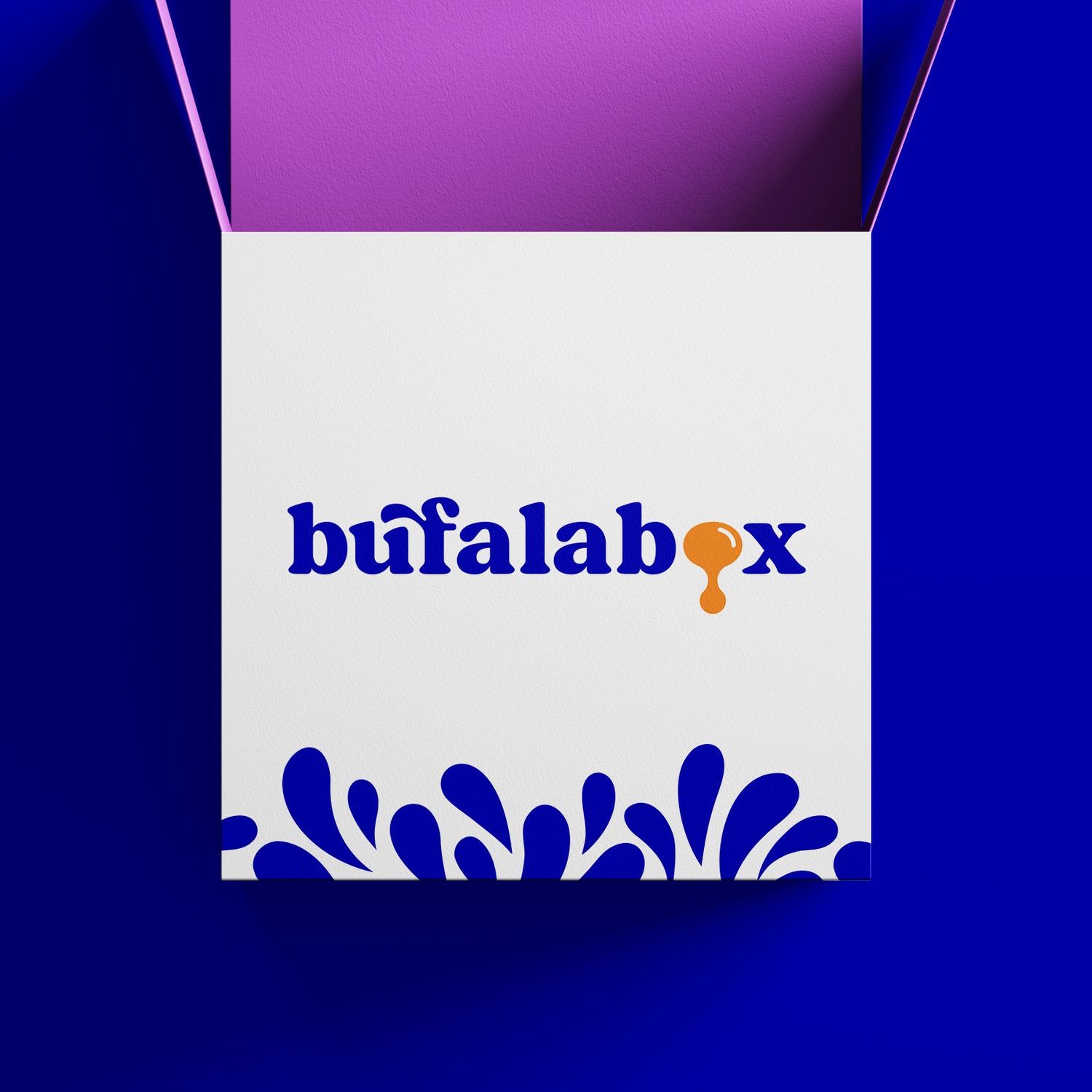 Confezione di bufala box Casabufala da 6kg